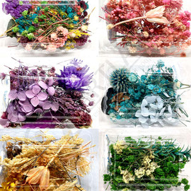 Dry Flowers Pack for Resin  (Small Box)