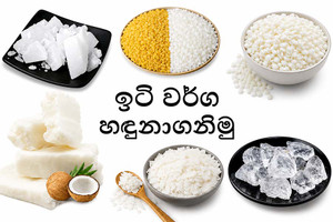 ඉටි වර්ග හඳුනාගනිමු, ආරම්භක මාර්ගෝපදේශය