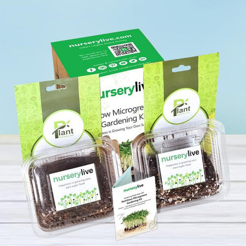 Gardening Made Easy with Nutritious Microgreens Gardening Kit