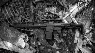 Unknown Rifle, DISSENT, Mk3, 8.6 BLK, 16.1"