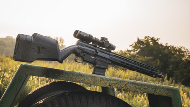 Unknown Rifle, DISSENT, Br3, .308 Win, 16.1"