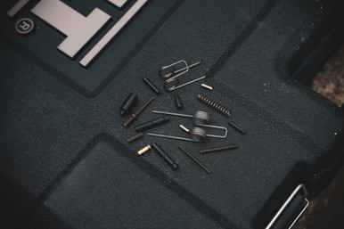 Unknown Parts Kit, AR15, Lower Pins and Springs