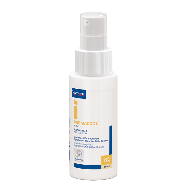 Et foto af en flaske Dermacool™ rensespray set forfra