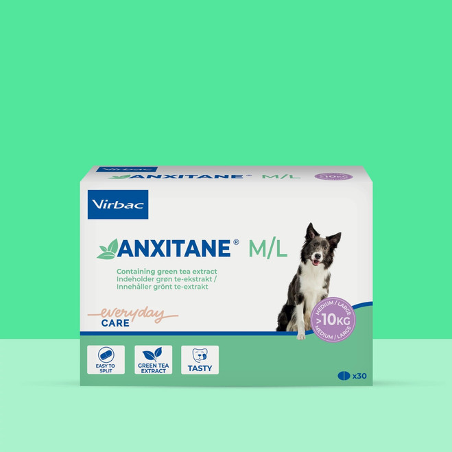 DK_SE_Anxitane_Unity-visual_6_2026.jpg