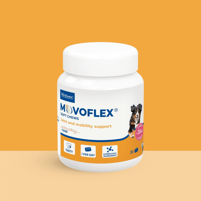 DK_SE_Movoflex-dog_Unity-visual_8_2026.jpg