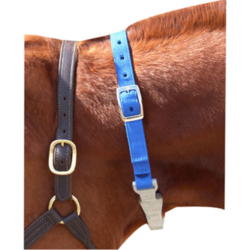 Horse And Livestock Prime Blue Cribbing Strap For Horses Adjustable 754888016560