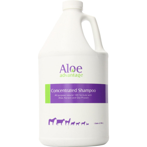 Durvent Aloe Advantage Concentrated Shampoo 10x 1 Gallon 813049003457