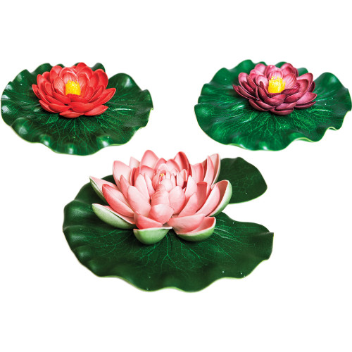 Oase Assorted Floating Lily Pad Variety Pack 871980009525