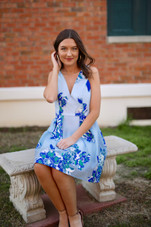 Whirlaway Dress