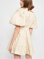 Gianna Mini Dress