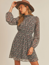 Dark Romance Ruched Waist Mini Dress