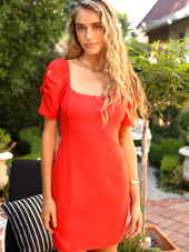Bella Puff Sleeve Mini Dress