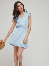 Ruffle Sleeve Mini Dress
