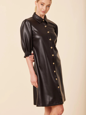 Vegan Leather Dress