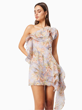 Sahara Mini Dress