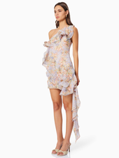 Sahara Mini Dress