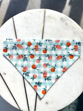 Ginger's Peachy Bandana - Small 