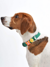 Flair Collar and Leash Charm Pack