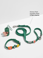 Flair Collar and Leash Charm Pack