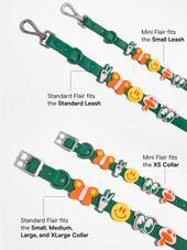 Flair Collar and Leash Charm Pack