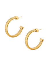 She's Timeless Hoops
