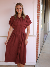 Collared Midi Dress