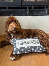 Cotton & Jute Embroidered Lumbar Pillow Reserved For Dog