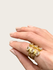 Alex Ring