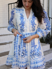 The Grove Printed Floral Dress