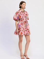 Celeste Mini Dress