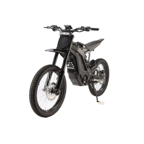 E-Ride Pro SS 3.0