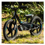 STACYC 16eDrive Electric Balance Bike