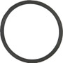 LC2 Jug Replacement O-Ring