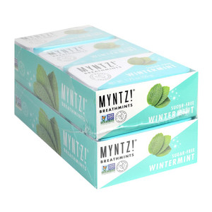 MYNTZ! Sugar Free Breathmints, Wintermint, 1.75 oz, 12 ct