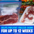 Ziploc Seal Top Quart Freezer Bags, 216 CT