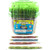 Sour Punch Twists, 6" Individually Wrapped Candy, Assorted Flavors, 180 ct