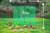 Plants Garden Shade Set 85% Black Shade 8 ft x 8 ft x 4 ft