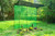 Plants Garden Shade Set 85% Black Shade 8 ft x 8 ft x 4 ft