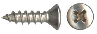 SHEET METAL SCREW (8X1/2OHA)