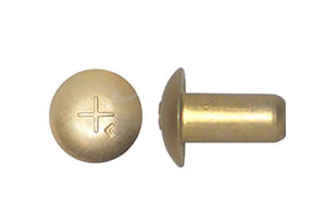 SOLID RIVET (MS20470B5-9)