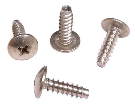 S/S SCREW (8X1THB S/S)