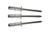 AVEX RIVET (1691-0512)