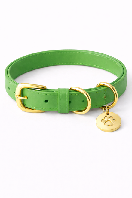 Premium leather dog collar featuring clean stitching, adjustable buckle, secure D-ring, and durable metal hardware.