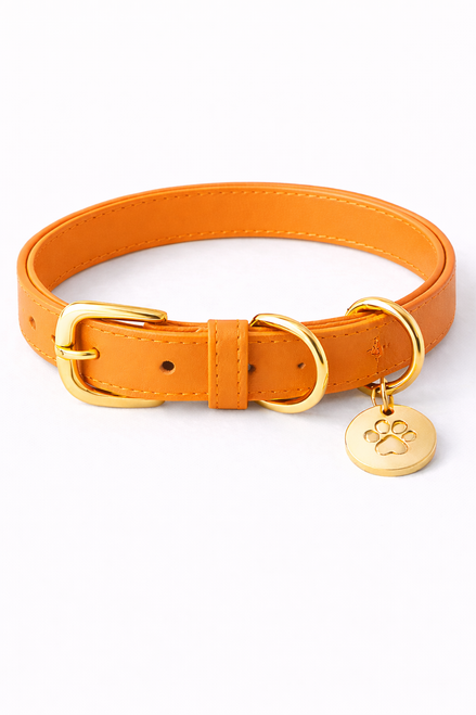 Premium leather dog collar featuring clean stitching, adjustable buckle, secure D-ring, and durable metal hardware.