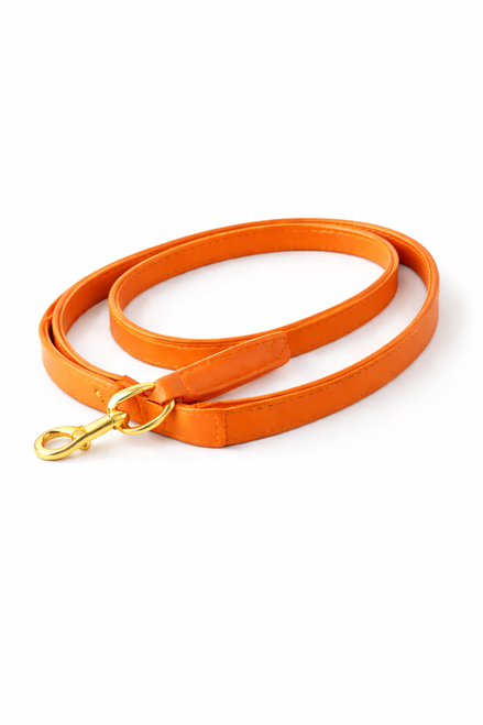 Leather dog leash with smooth leather construction, reinforced handle, and durable metal clip, designed for everyday walks.