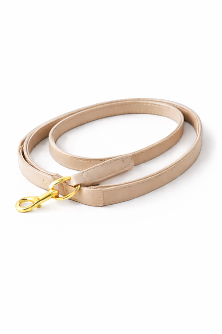 Leather dog leash with smooth leather construction, reinforced handle, and durable metal clip, designed for everyday walks.