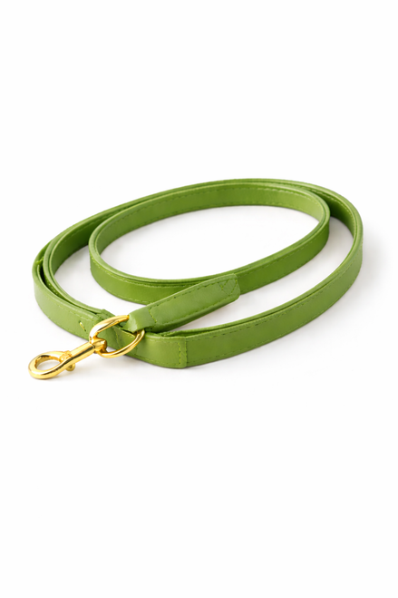 Leather dog leash with smooth leather construction, reinforced handle, and durable metal clip, designed for everyday walks.