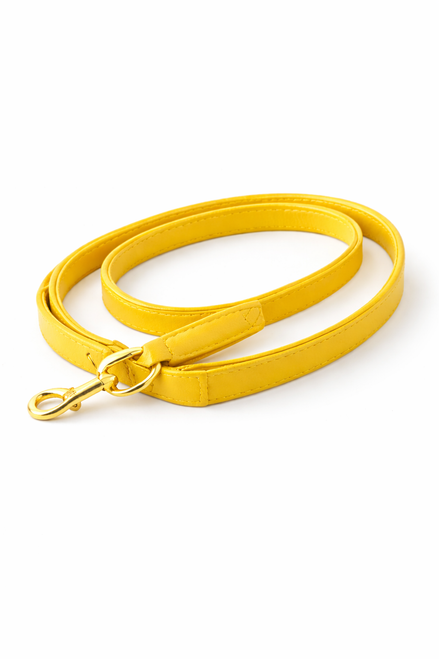 Leather dog leash with smooth leather construction, reinforced handle, and durable metal clip, designed for everyday walks.