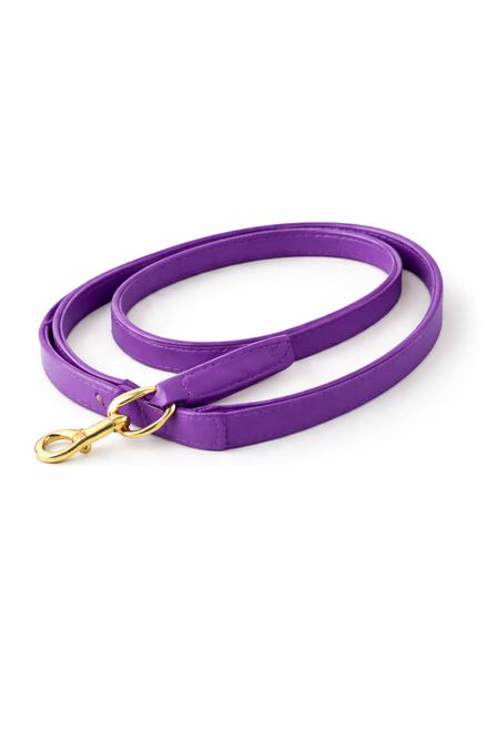 Leather dog leash with smooth leather construction, reinforced handle, and durable metal clip, designed for everyday walks.