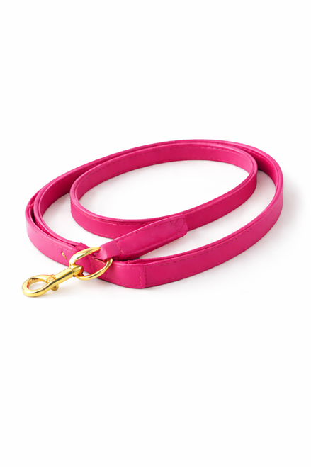 Leather dog leash with smooth leather construction, reinforced handle, and durable metal clip, designed for everyday walks.